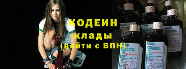 хмурый Алексин