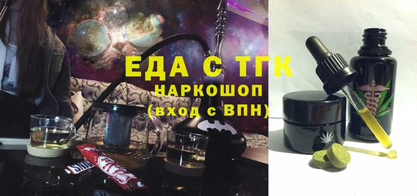 хмурый Алексин